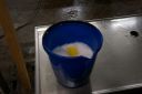 lastcall95.jpg